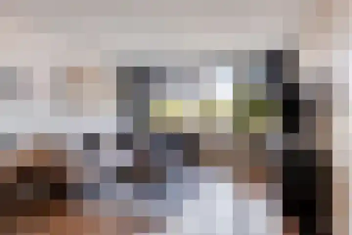 Dr. Willem Dreessingel 253 Arnhem thumbnail 4