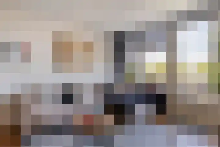 Dr. Willem Dreessingel 253 Arnhem thumbnail 5