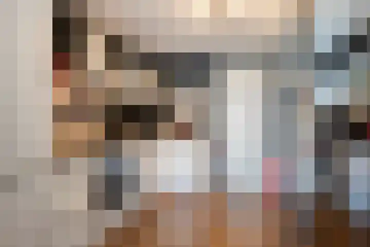 Dr. Willem Dreessingel 253 Arnhem thumbnail 8