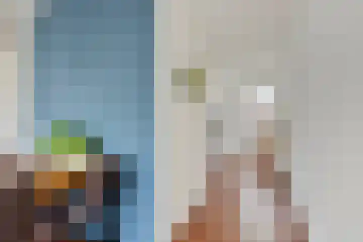 Dr. Willem Dreessingel 257 Arnhem thumbnail 16