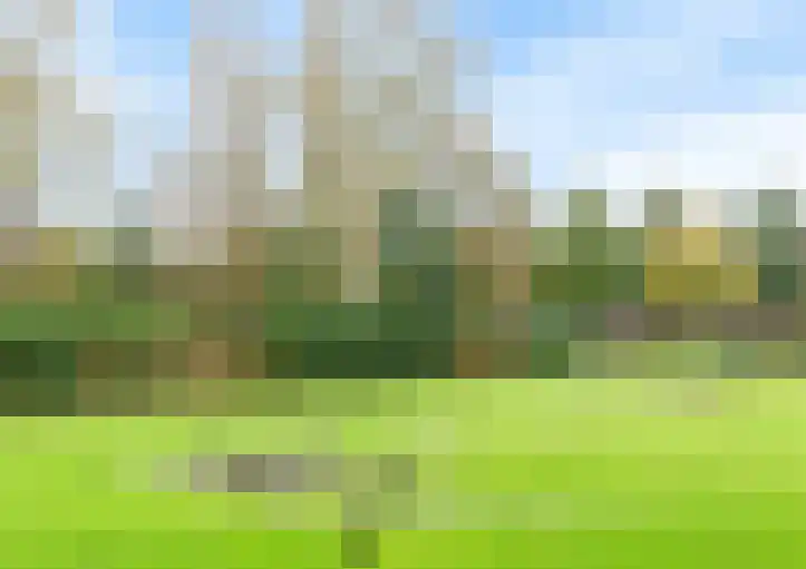 Dr. Willem Dreessingel 257 Arnhem thumbnail 5