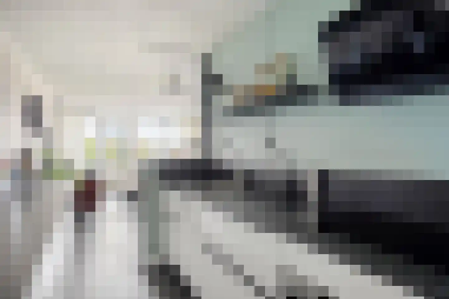Dr. Willem Dreessingel 275 Arnhem thumbnail 19