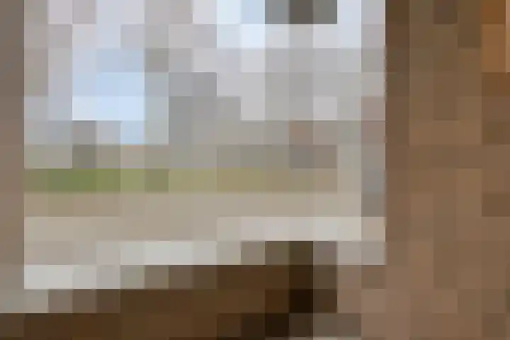 Dr Willem Dreesstraat 30 Eindhoven thumbnail 19