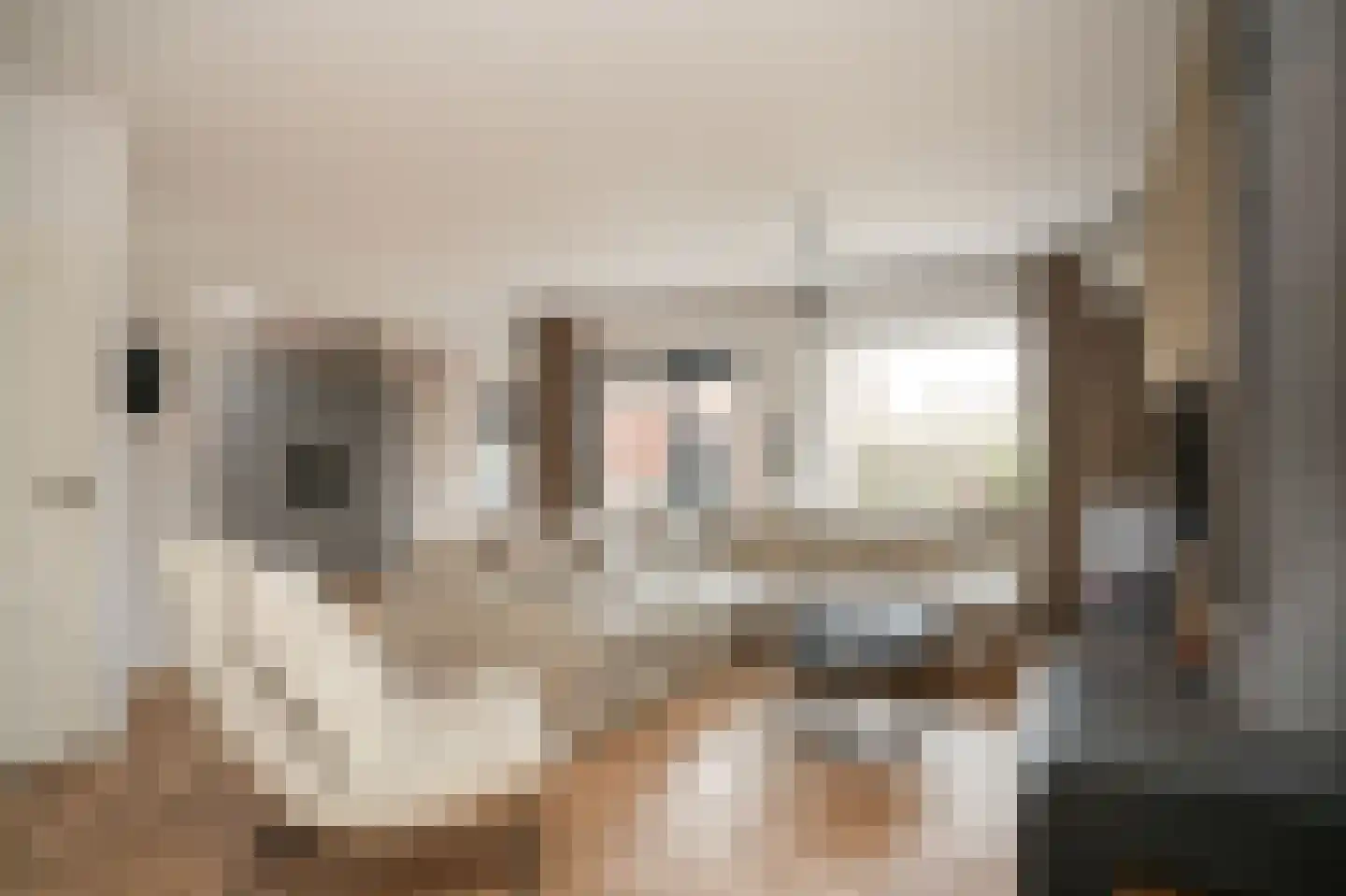Dr. Willem Dreesstraat 6 Heerewaarden thumbnail 4