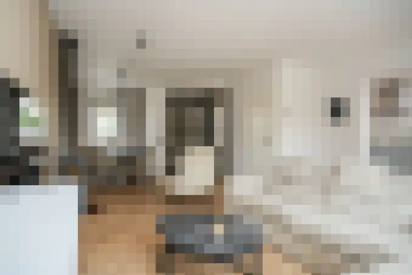 Dr. Willem Dreesstraat 6 Heerewaarden thumbnail 7