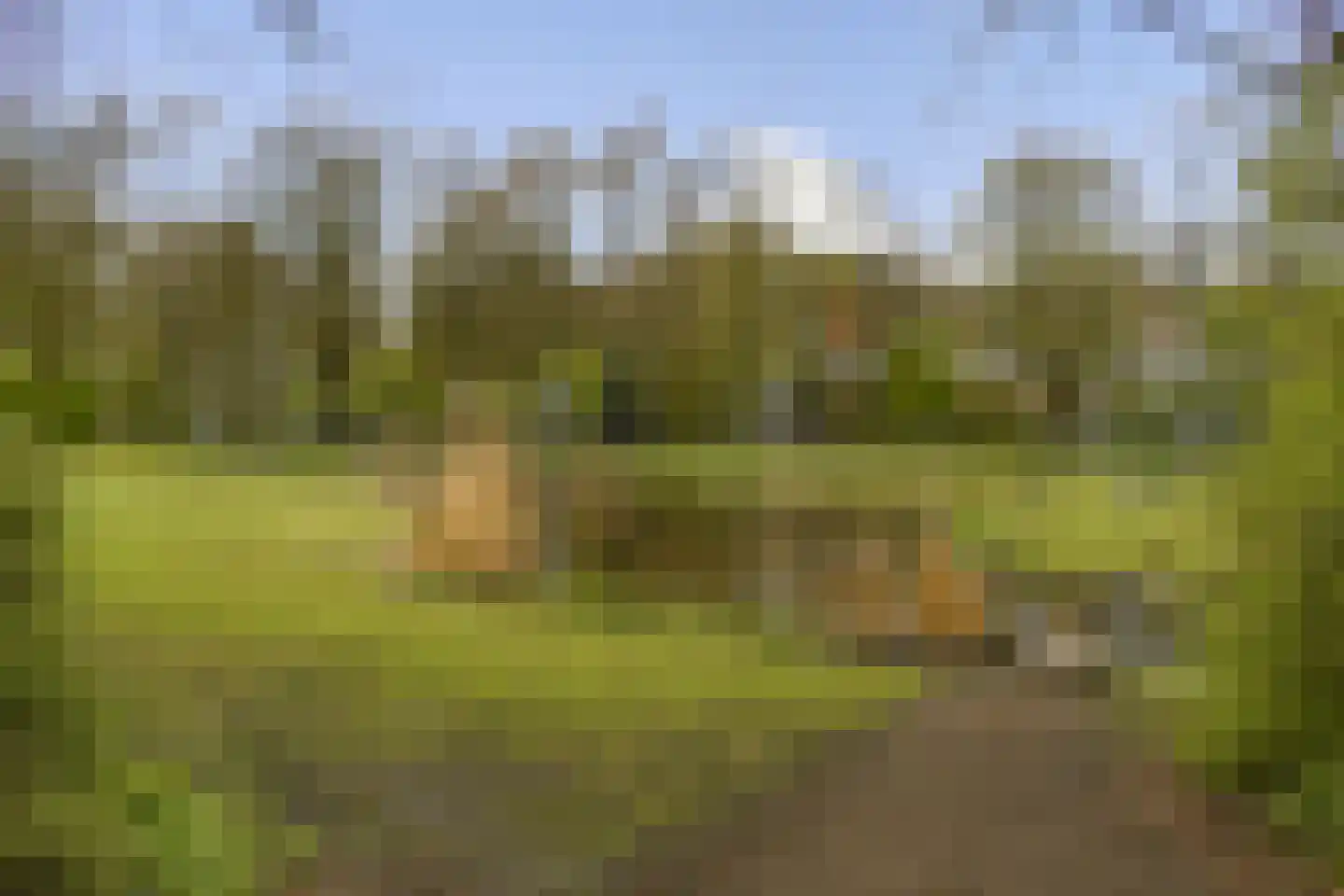 Dr. Willem Dreesweg 11 Amstelveen thumbnail 25