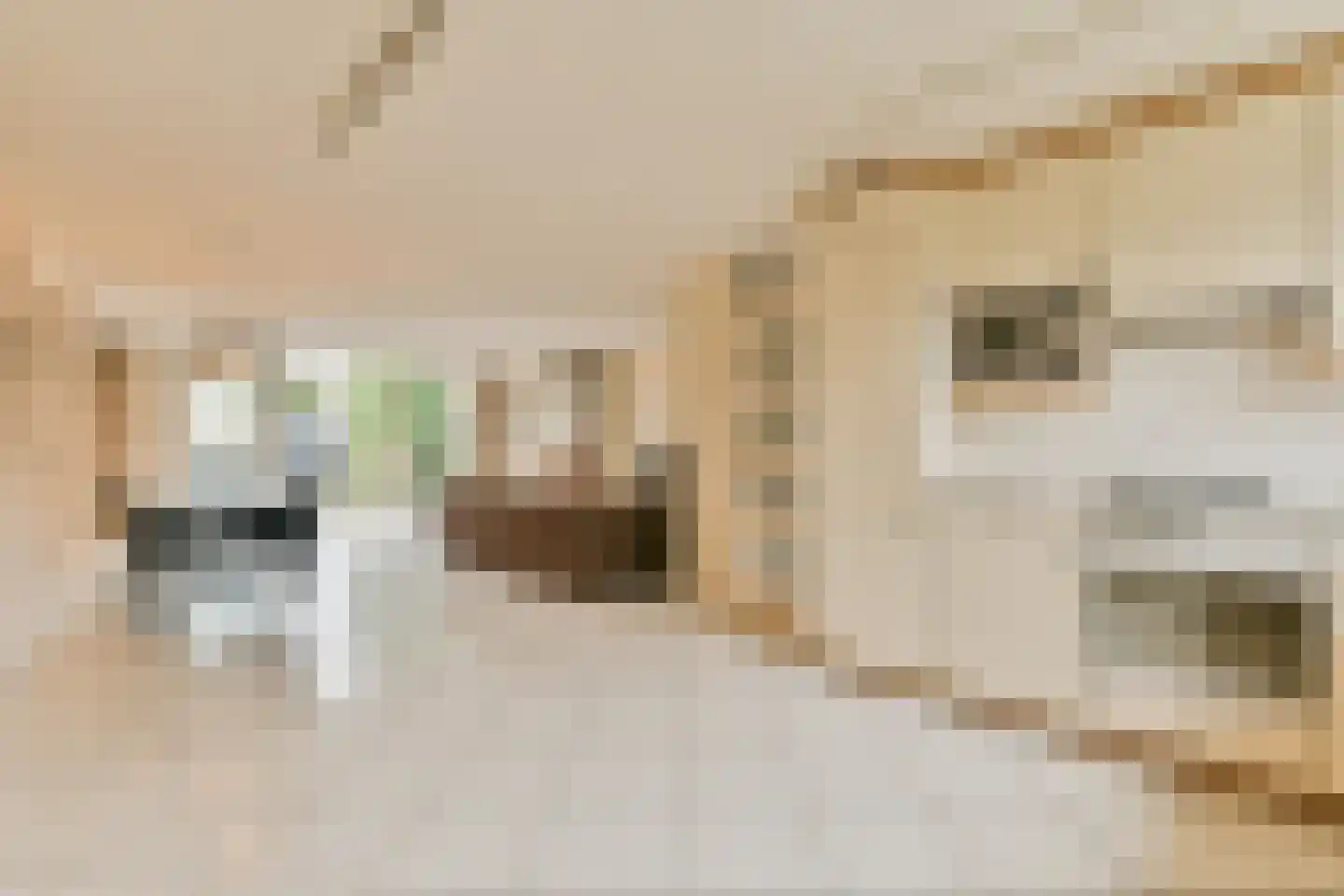 Dr. Willem Dreesweg 11 Amstelveen thumbnail 7