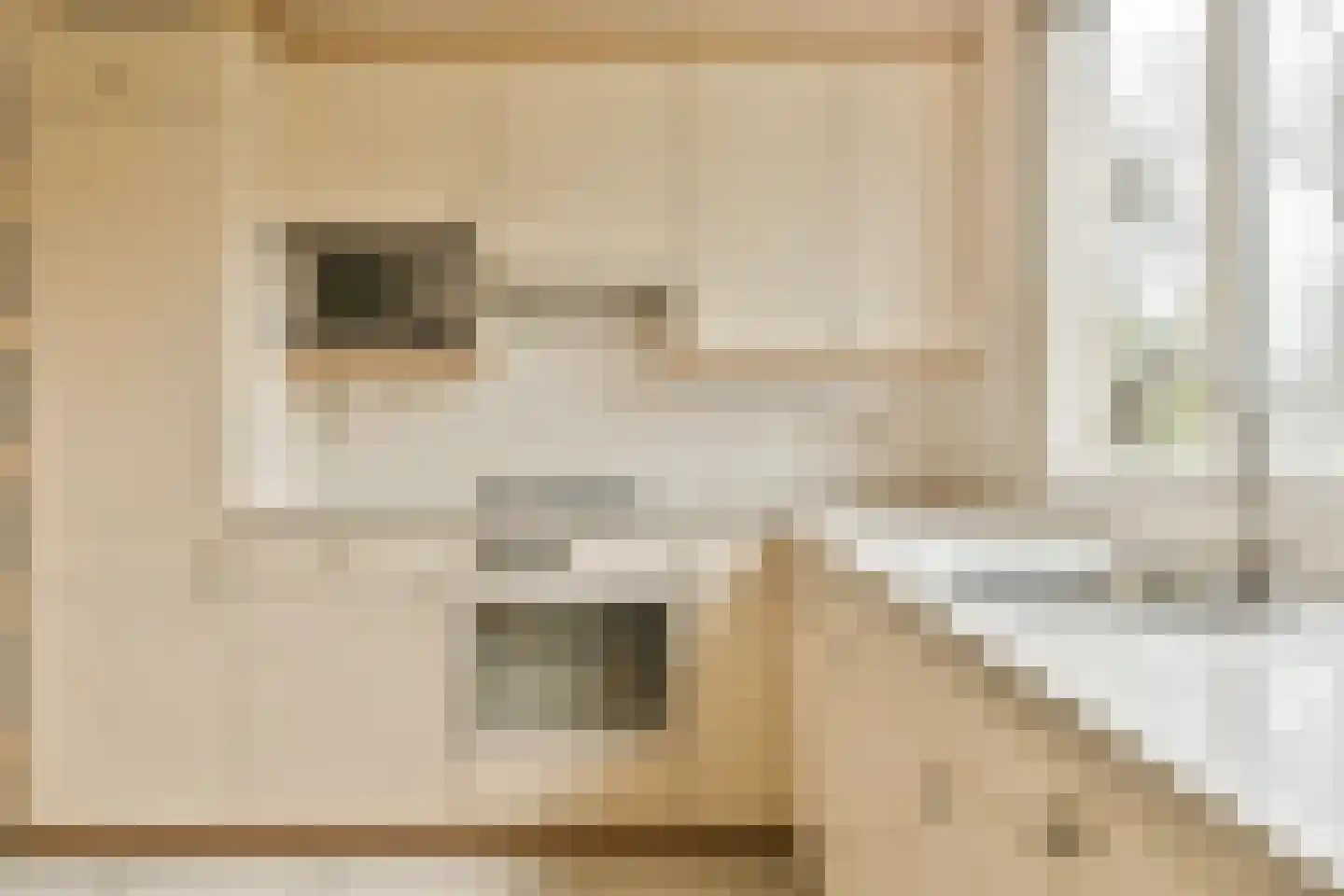 Dr. Willem Dreesweg 11 Amstelveen thumbnail 8