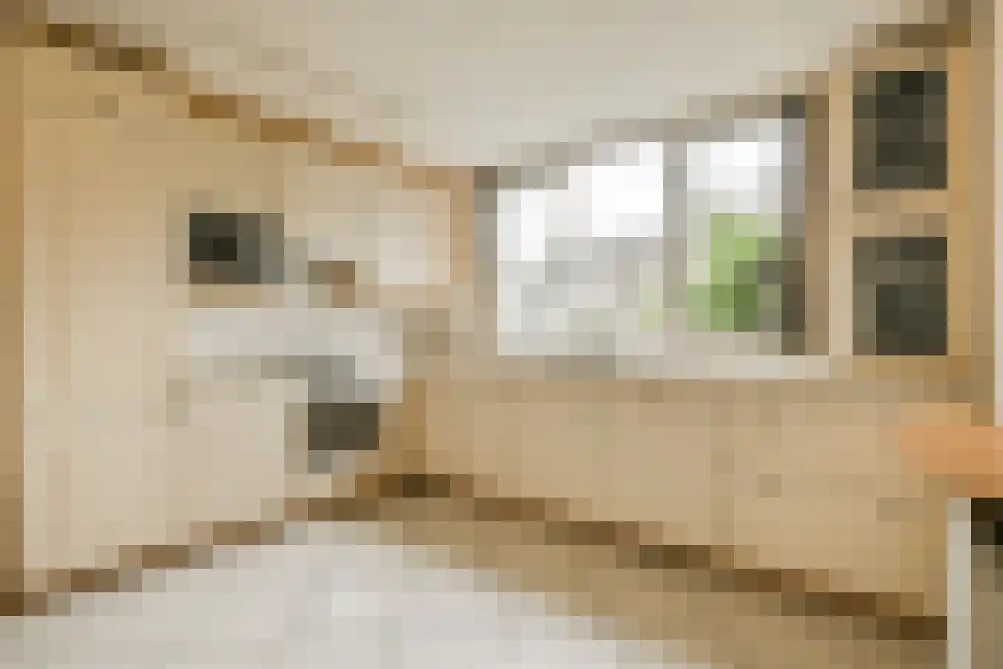 Dr. Willem Dreesweg 11 Amstelveen thumbnail 9