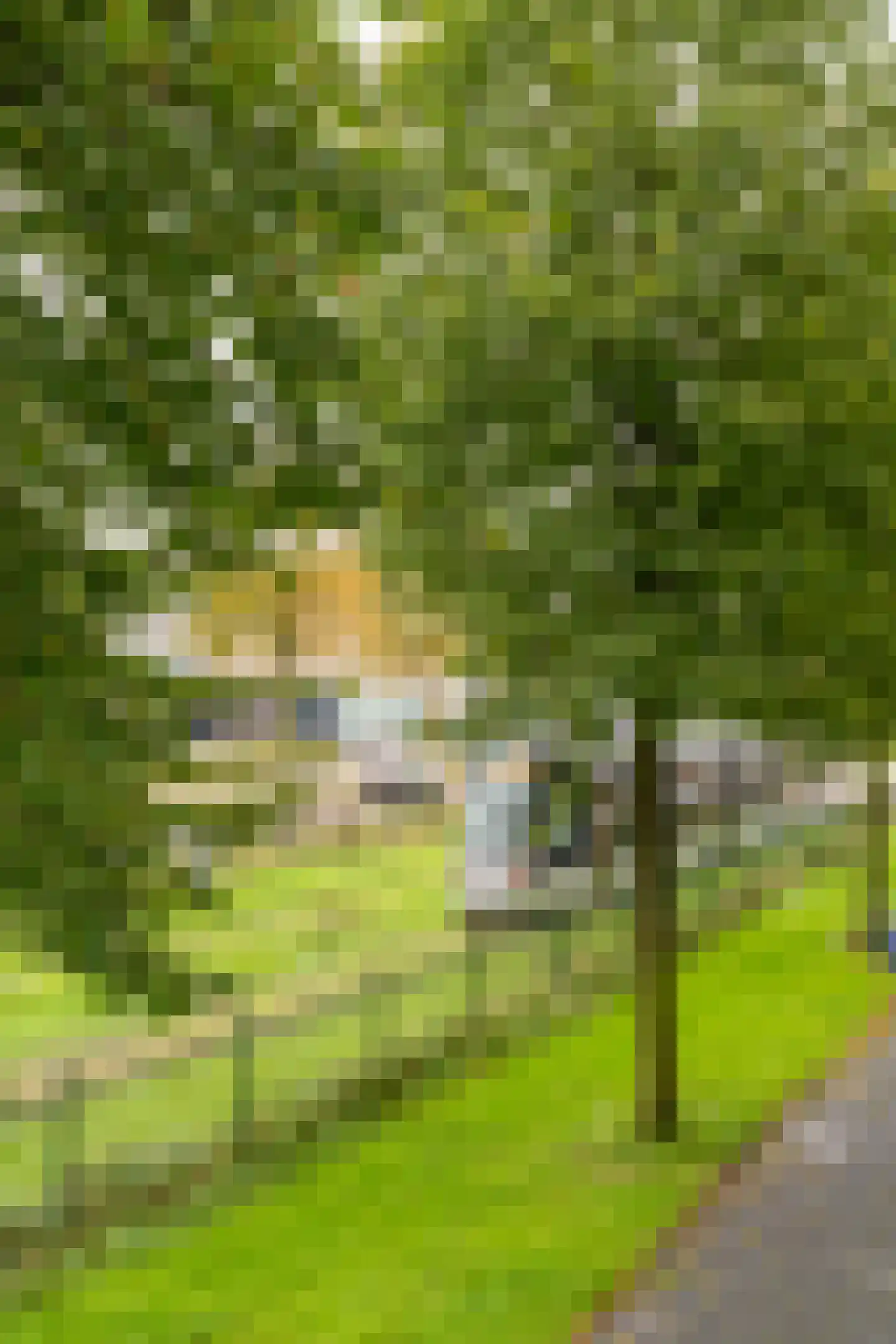 Dr. Willem Dreesweg 281 Amstelveen thumbnail 11