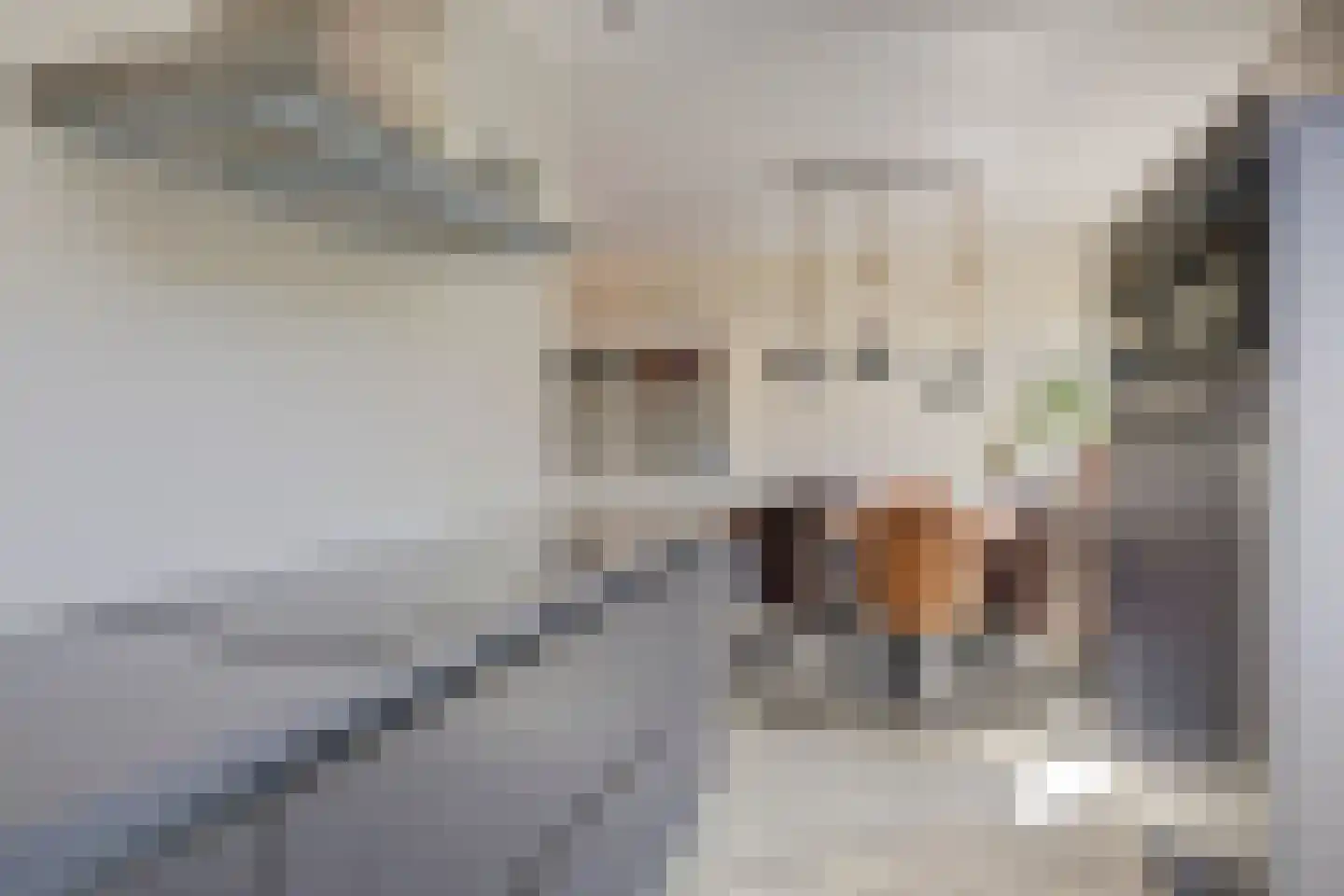 Dr Willem Dreesweg 3 Egmond aan Zee thumbnail 17