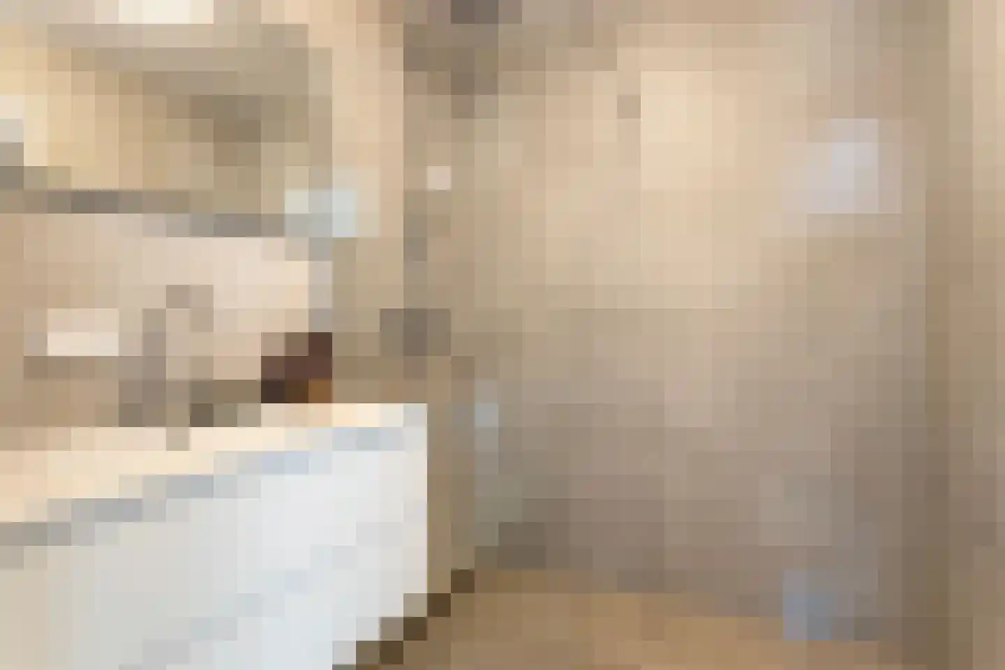 Dr. Willem Dreesweg 321 Amstelveen thumbnail 26
