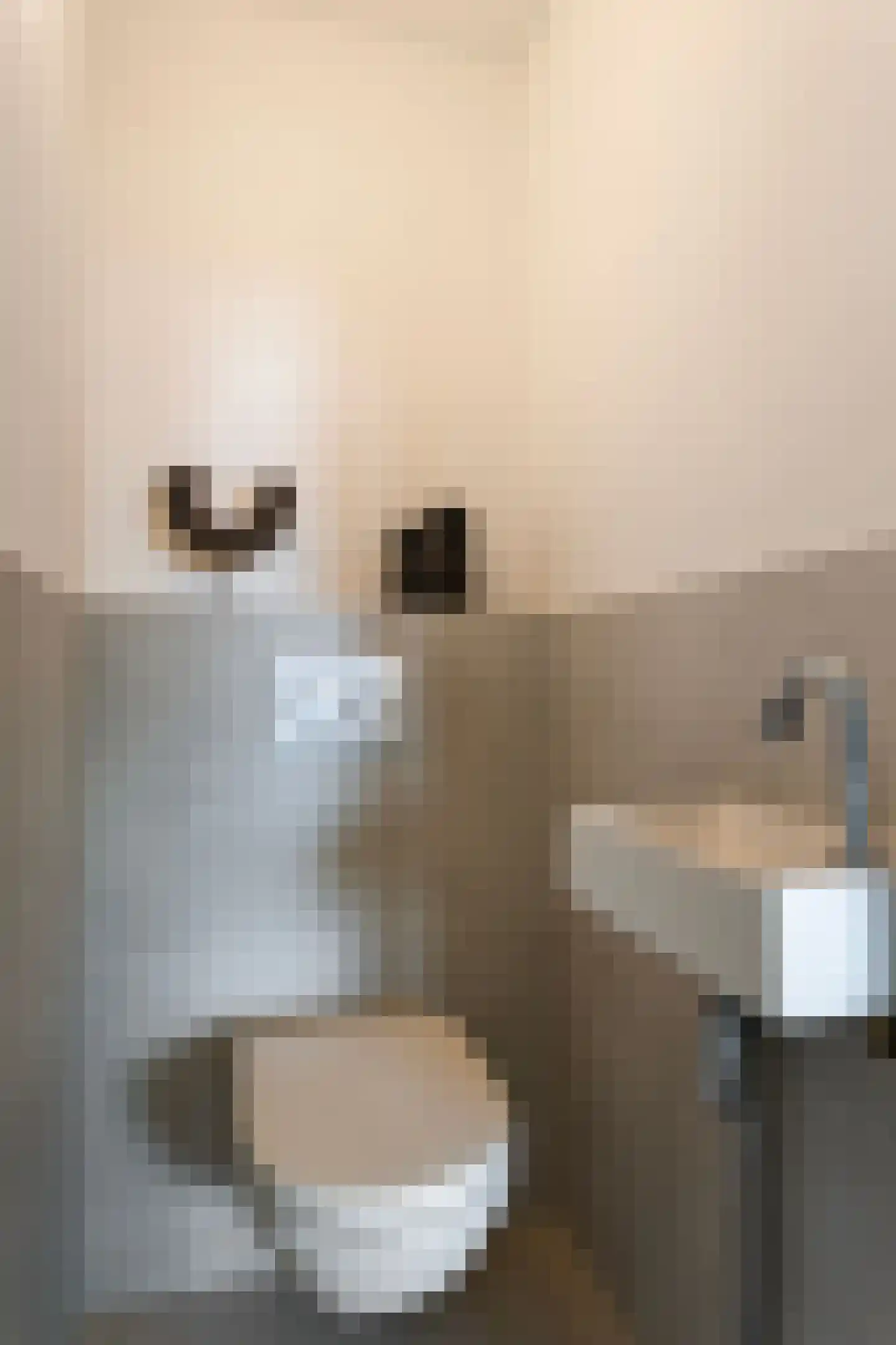 Dr. Willem Dreesweg 321 Amstelveen thumbnail 27
