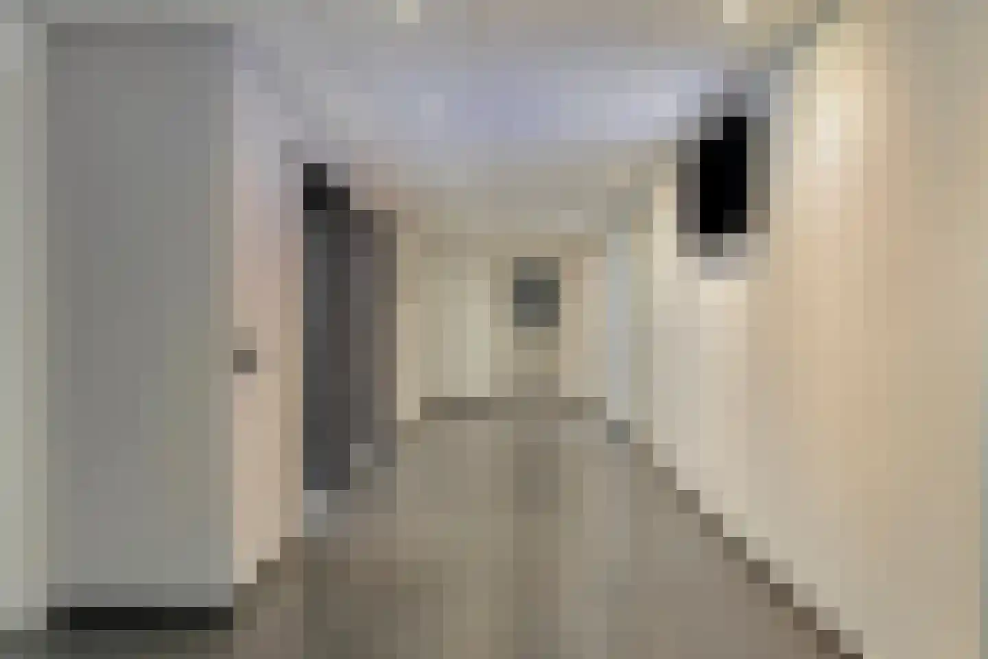 Dr. Willem Dreesweg 321 Amstelveen thumbnail 32