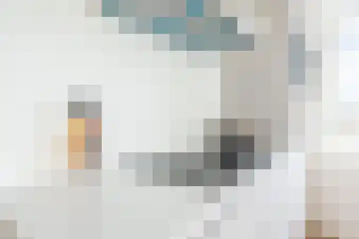 Dr. Willem Dreesweg 333 Amstelveen thumbnail 12