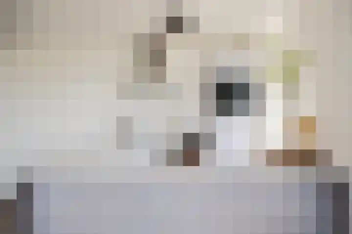 Dr. Willem Dreesweg 333 Amstelveen thumbnail 13