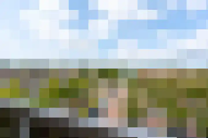 Dr. Willem Dreesweg 333 Amstelveen thumbnail 27