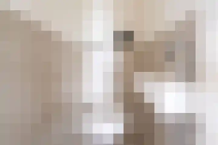 Dr. Willem Dreesweg 333 Amstelveen thumbnail 29