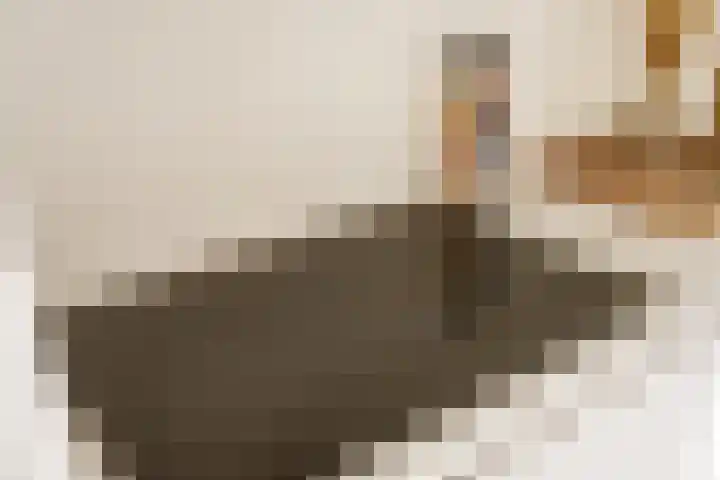 Dr. Willem Dreesweg 349 Amstelveen thumbnail 12