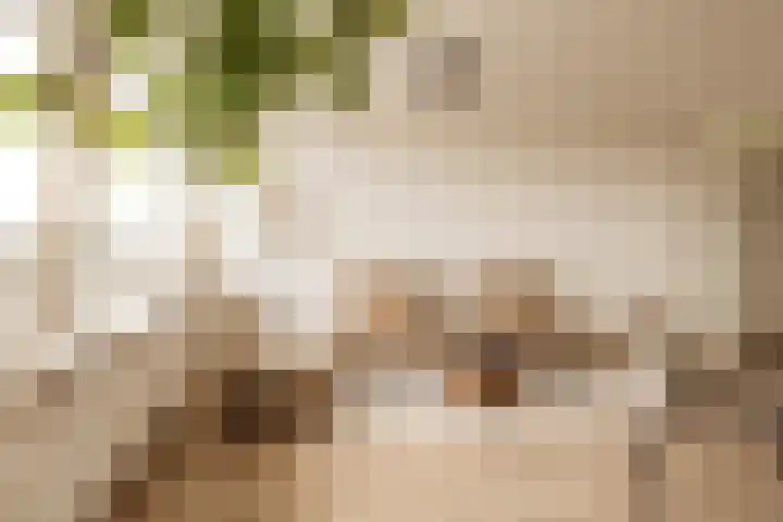 Dr. Willem Dreesweg 349 Amstelveen thumbnail 13