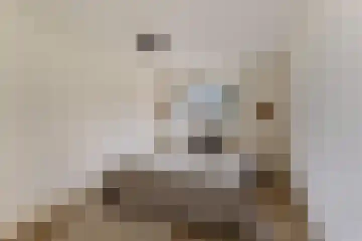Dr. Willem Dreesweg 361 Amstelveen thumbnail 12