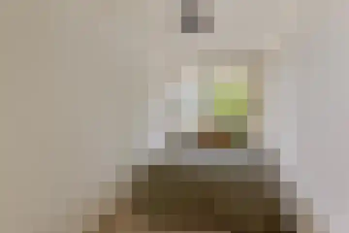 Dr. Willem Dreesweg 361 Amstelveen thumbnail 14
