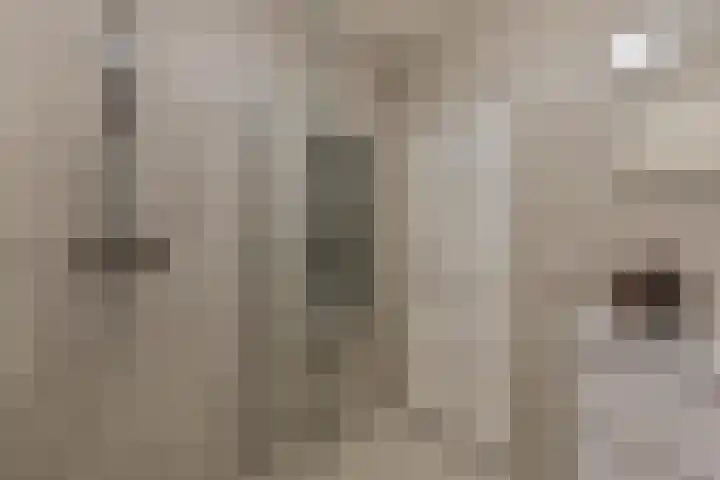 Dr. Willem Dreesweg 361 Amstelveen thumbnail 15