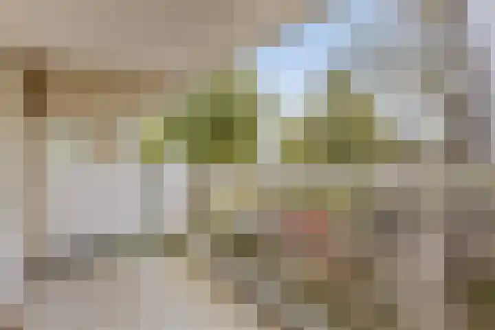 Dr. Willem Dreesweg 361 Amstelveen thumbnail 17
