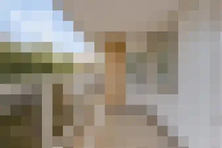 Dr. Willem Dreesweg 361 Amstelveen thumbnail 18