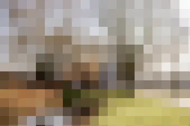 Dr. Willem Dreesweg 361 Amstelveen thumbnail 23
