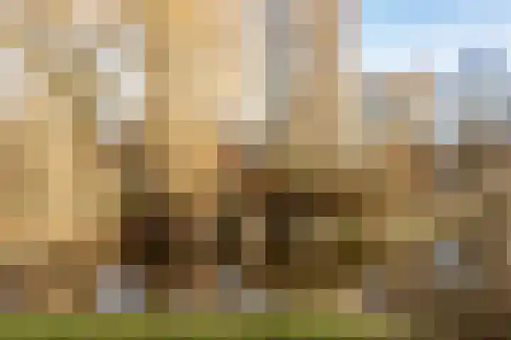 Dr. Willem Dreesweg 361 Amstelveen thumbnail 27