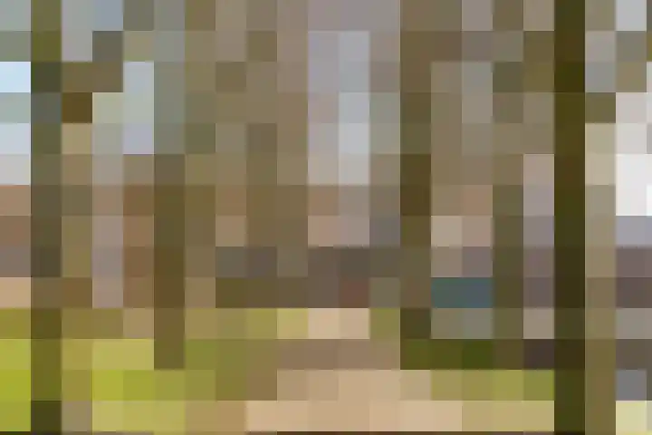 Dr. Willem Dreesweg 361 Amstelveen thumbnail 29