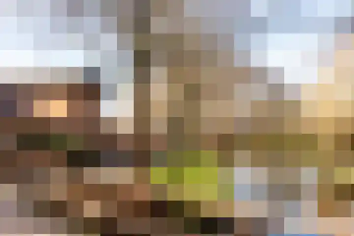 Dr. Willem Dreesweg 361 Amstelveen thumbnail 30