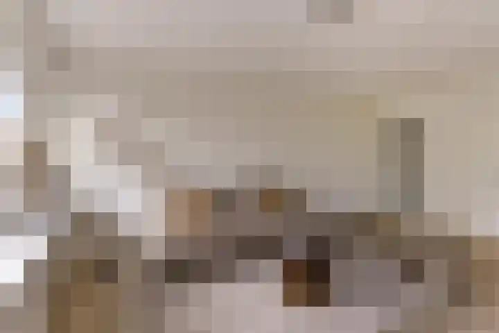 Dr. Willem Dreesweg 361 Amstelveen thumbnail 4
