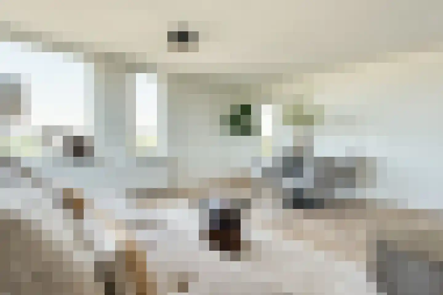 Dr. Willem Dreesweg 363 Amstelveen thumbnail 10
