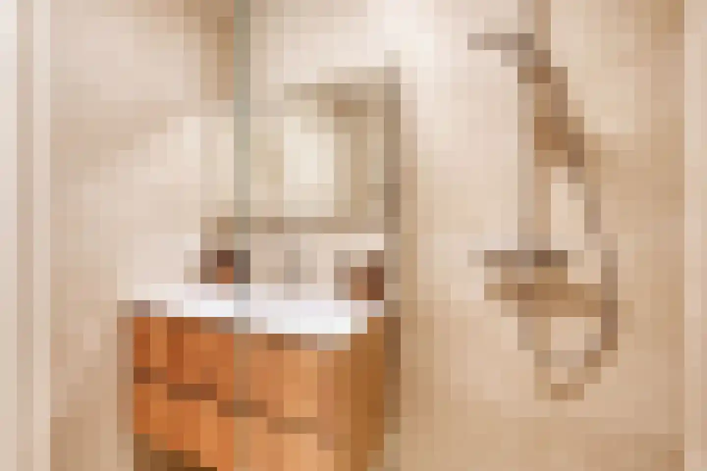 Dr. Willem Dreesweg 363 Amstelveen thumbnail 22