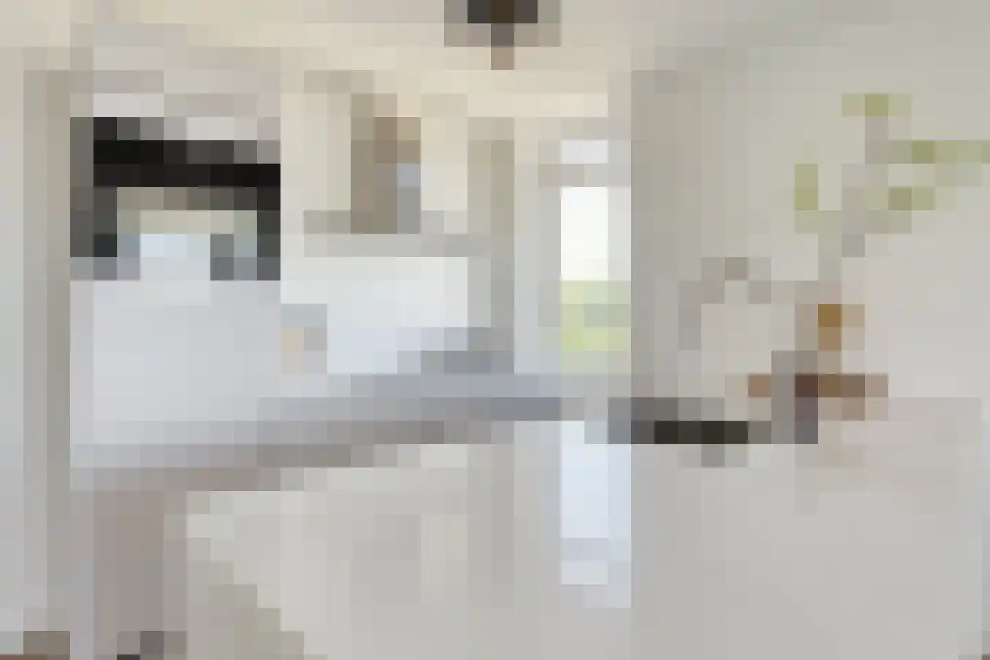 Dr. Willem Dreesweg 363 Amstelveen thumbnail 5