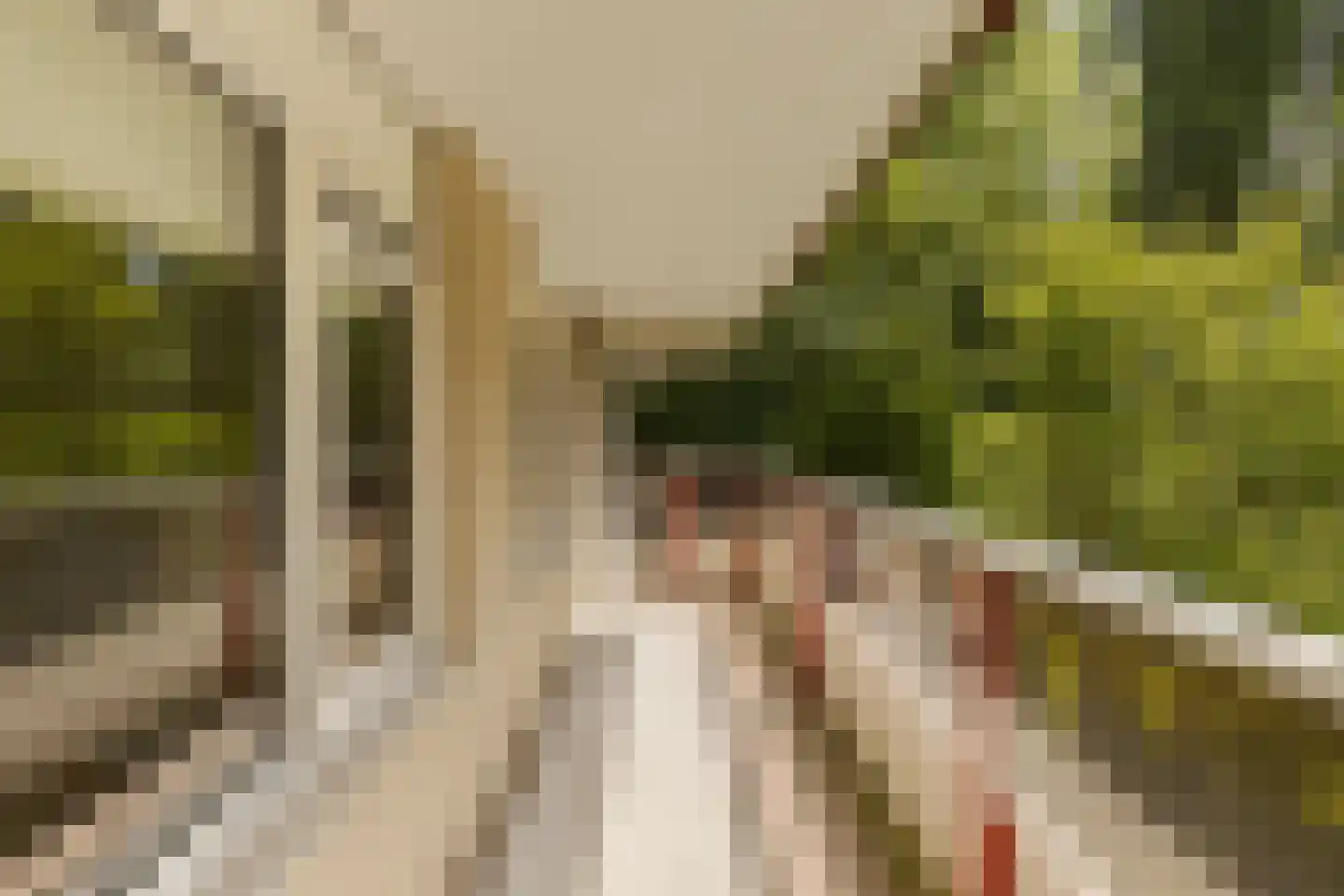 Dr. Willem Dreesweg 438 Amstelveen thumbnail 13