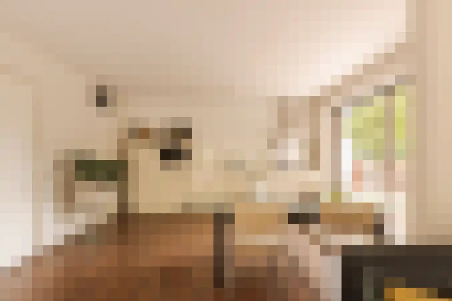 Dr. Willem Dreesweg 438 Amstelveen thumbnail 8