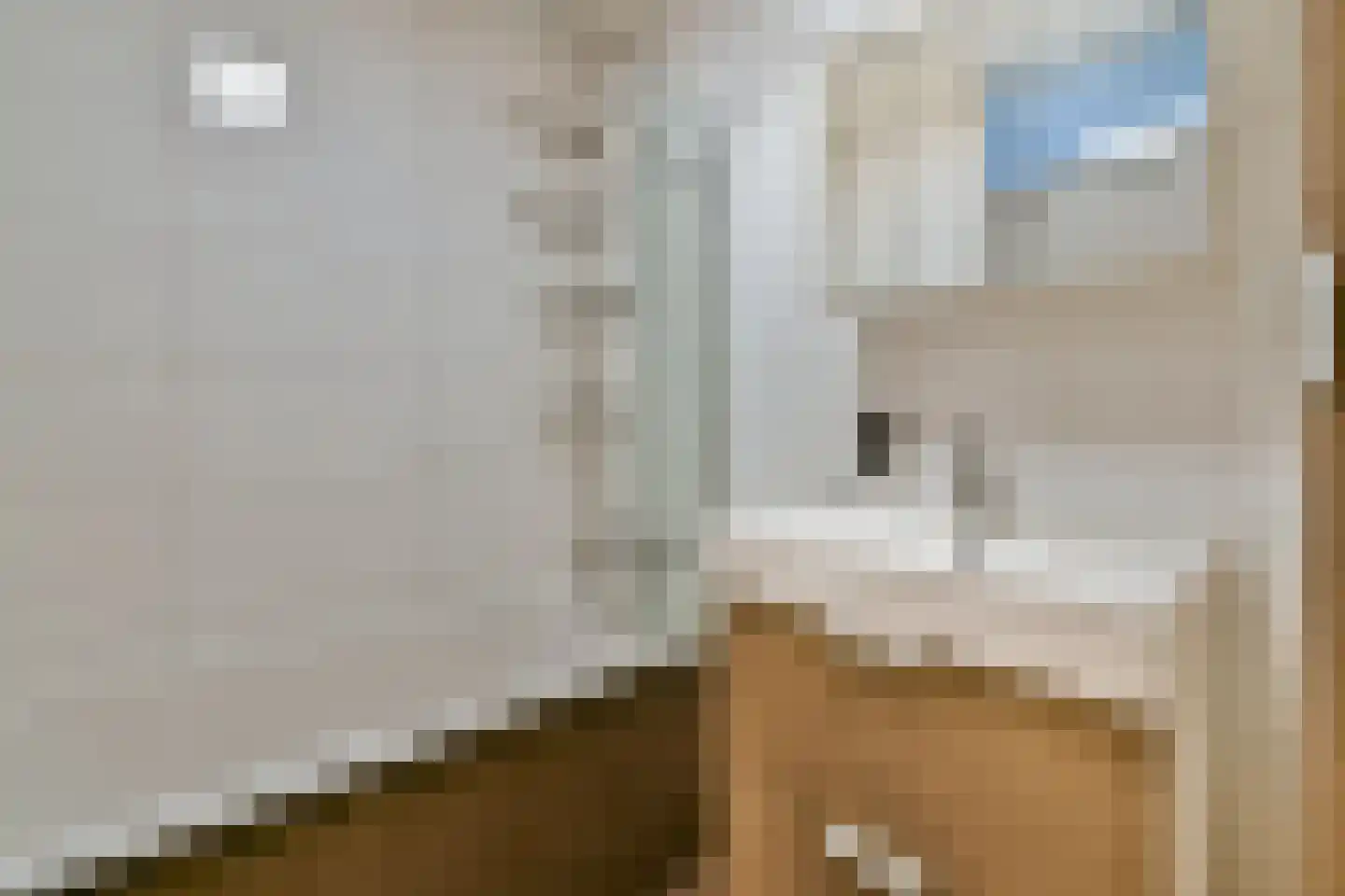 Dr. Willem Dreesweg 462 Amstelveen thumbnail 12