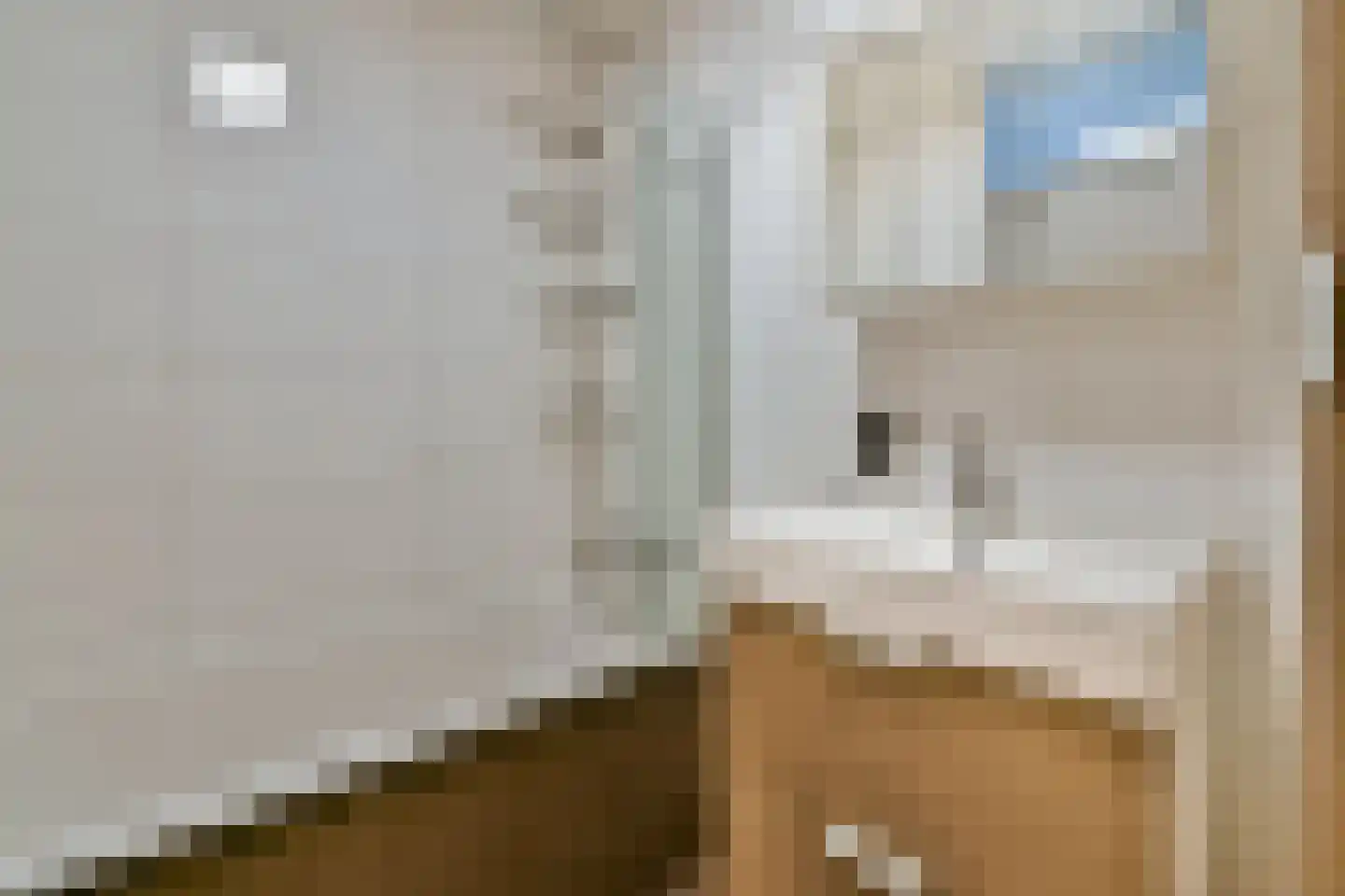 Dr. Willem Dreesweg 462 Amstelveen thumbnail 13