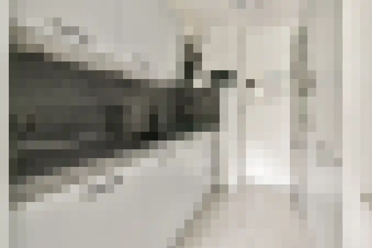 Dr. Willem Dreesweg 462 Amstelveen thumbnail 4