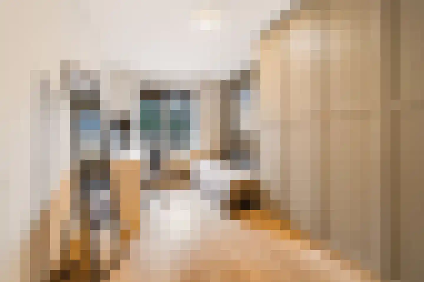 Dr. Willem Dreesweg 464 Amstelveen thumbnail 19