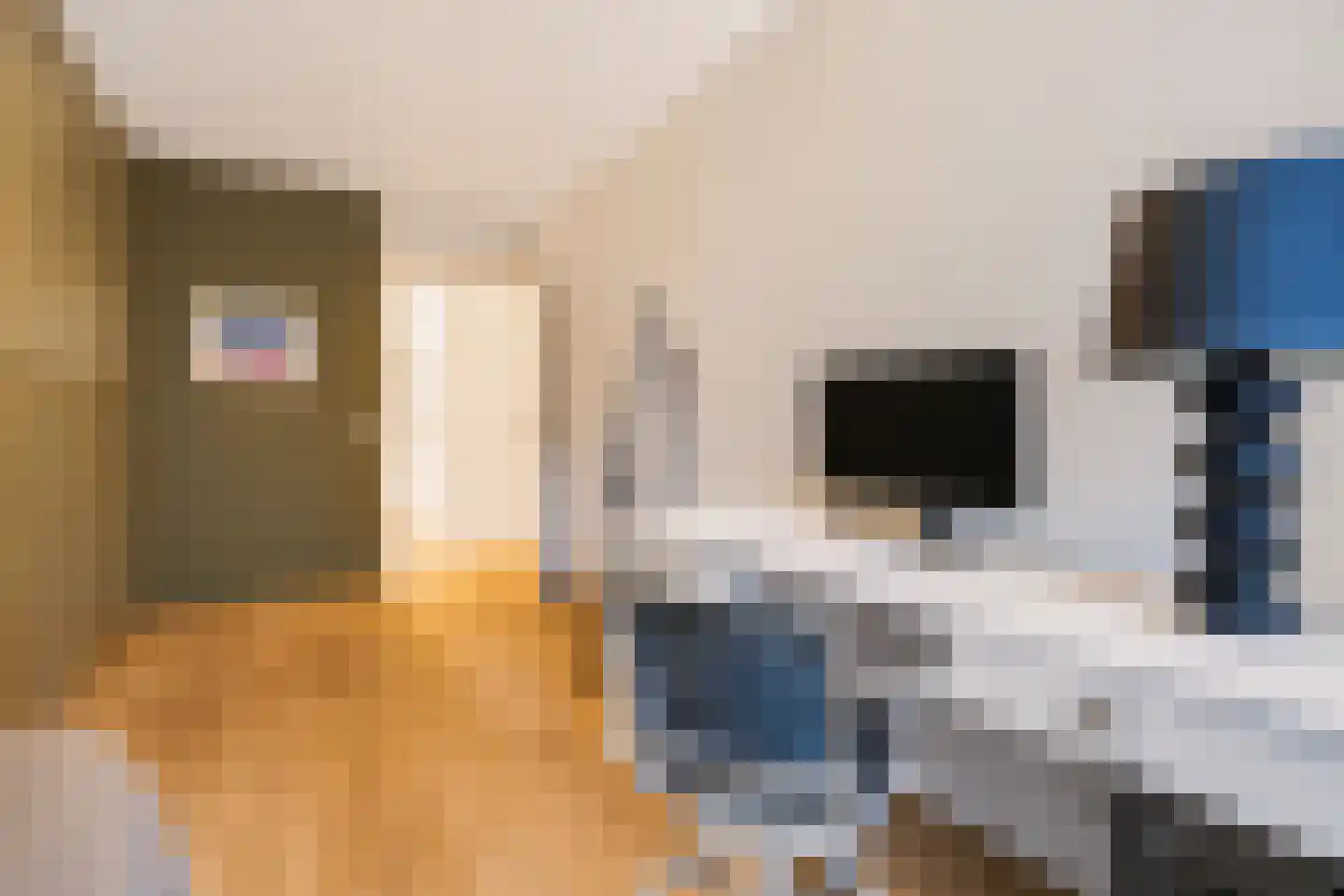 Dr. Willem Dreesweg 464 Amstelveen thumbnail 20