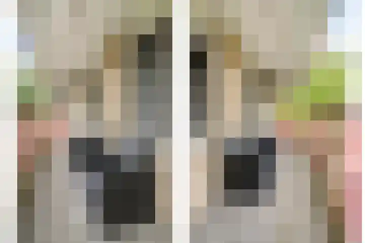 Dr. Willem Dreesweg 476 Amstelveen thumbnail 30