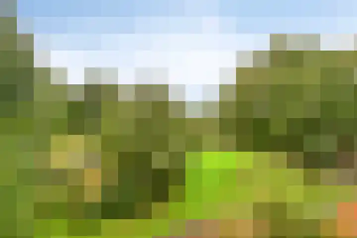 Dr. Willem Dreesweg 476 Amstelveen thumbnail 33