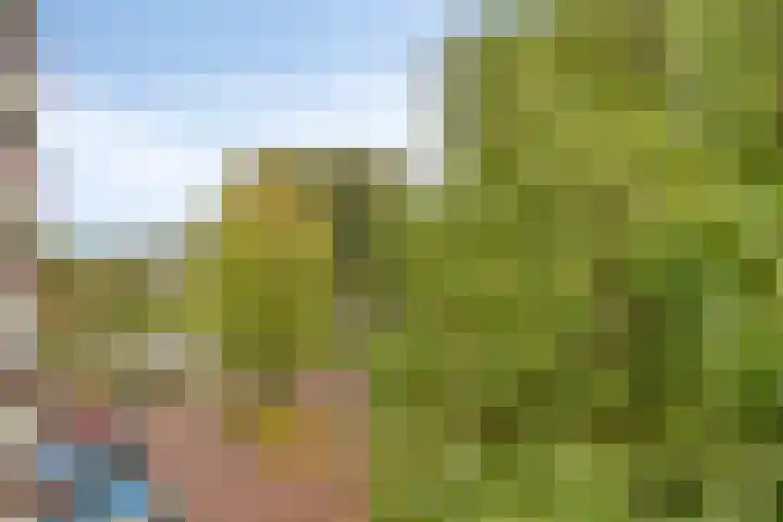 Dr. Willem Dreesweg 476 Amstelveen thumbnail 34