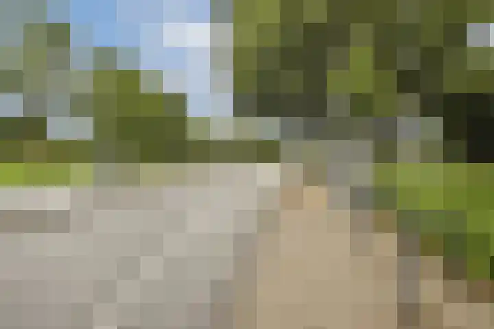 Dr. Willem Dreesweg 480 Amstelveen thumbnail 18