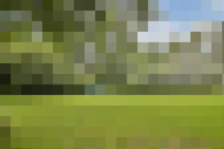 Dr. Willem Dreesweg 480 Amstelveen thumbnail 22