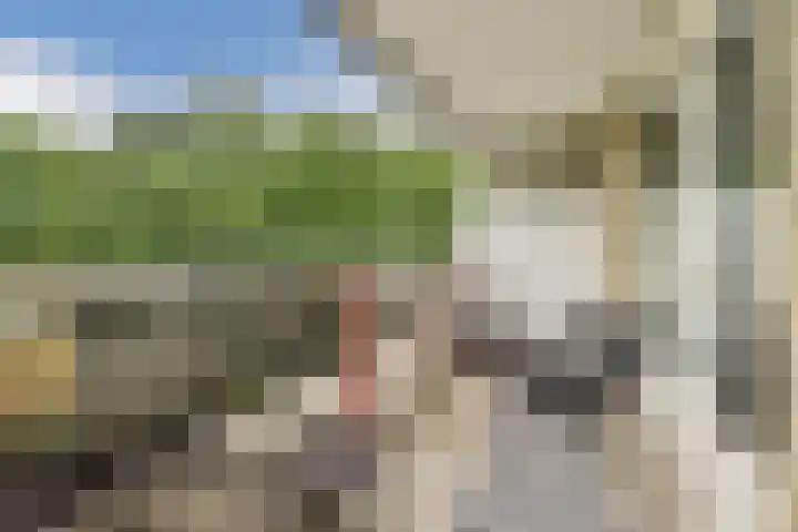 Dr. Willem Dreesweg 480 Amstelveen thumbnail 4